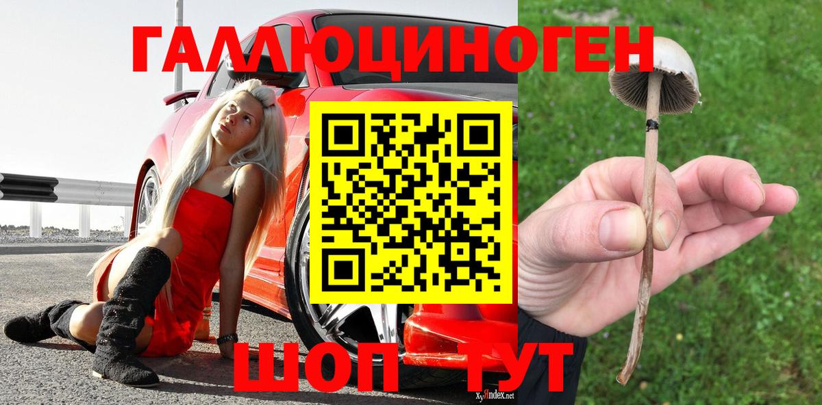 Галлюциногенные грибы Magic Shrooms  Вход с VPN  Миллерово  Галлюциногенные грибы ЛСД 